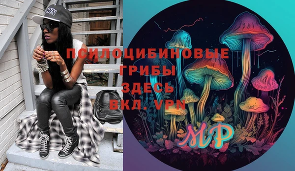 мдпв Волоколамск