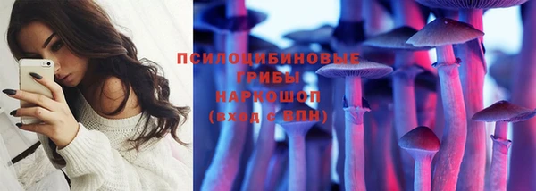 apvp Володарск