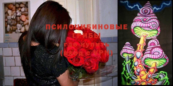 мдпв Волоколамск