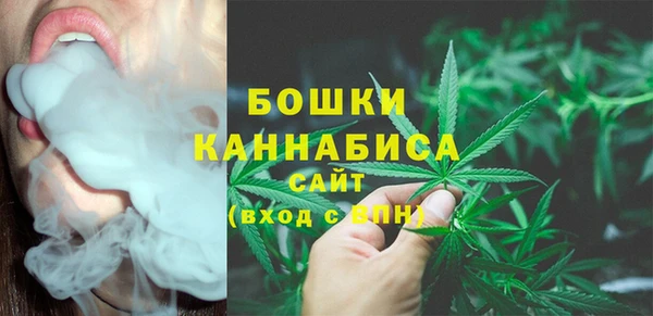 мдпв Волоколамск
