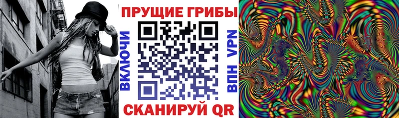 где можно купить Снежинск Псилоцибиновые грибы MAGIC MUSHROOMS