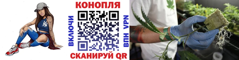 МАРИХУАНА марихуана  Снежинск 